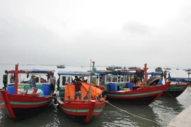 5 chiếc tàu bị phát hiện khai thác thủy sản trái phép. (Ảnh: Nguyễn Hoàng/TTXVN)