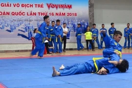 Các vận động viên thi đấu nội dung biểu diễn. (Ảnh: Xuân Triệu/TTXVN)