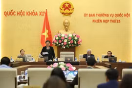 Phó Chủ tịch Thường trực Quốc hội Tòng Thị Phóng phát biểu ý kiến. (Ảnh: Dương Giang/TTXVN)