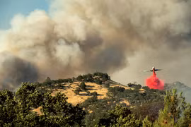 Cháy rừng tại California. (Nguồn: AP)
