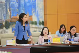 Đại biểu Quốc hội Mai Thị Phương Hoa, Ủy viên Thường trực Ủy ban Tư pháp của Quốc hội phát biểu tại phiên họp. (Ảnh: Dương Giang/TTXVN)