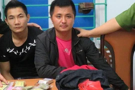Bắt giữ đối tượng vận chuyển 179 gói ma túy loại "đông trùng" 