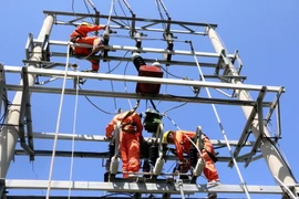 Điện lực Quảng Ninh khắc phục sự cố sét đánh làm hỏng đường dây 22KV. (Ảnh: Văn Đức/TTXVN)