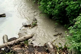 Ảnh minh họa. (Nguồn: Vietnam+)