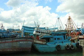 Những con tàu bị bắt giữ nằm xiêu vẹo trong khu vực giam giữ ngư dân. (Ảnh: Trần Chiến/Vietnam+)