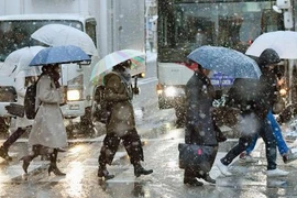 Tuyết rơi dày đặc tại Tokyo, Nhật Bản ngày 2/2. (Nguồn: Kyodo/TTXVN)