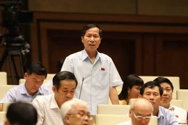 Đại biểu Quốc hội tỉnh Ninh Bình Bùi Văn Phương phát biểu. (Ảnh: Phương Hoa/TTXVN)