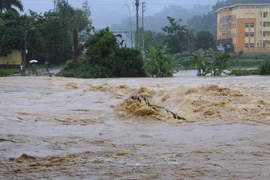 Nước sông Thương dâng cao, tràn qua ngầm Mỏ Chảo ở thị trấn Đồng Mỏ, huyện Chi Lăng. (Ảnh: Phạm Hậu/TTXVN)