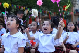 Ảnh minh họa. (Nguồn: TTXVN)