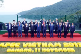 Chủ tịch nước Trần Đại Quang và các Trưởng đoàn dự Hội nghị các Nhà lãnh đạo Kinh tế APEC lần thứ 25 chụp ảnh chung. (Ảnh: TTXVN)