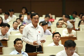 Đại biểu Quốc hội tỉnh Thanh Hóa Mai Sỹ Diến phát biểu. (nh: Dương Giang/TTXVN)