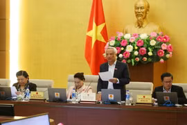 Phó Chủ tịch Quốc hội Uông Chu Lưu phát biểu ý kiến. (Ảnh: Dương Giang/TTXVN)