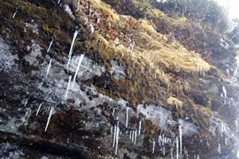 Băng giá tại núi Lảo Thẩn (thôn Phìn Hồ, xã Y Tý, huyện Bát Xát). (Ảnh: Hương Thu/TTXVN)