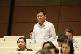 Đại biểu Quốc hội tỉnh Thừa Thiên-Huế Đặng Ngọc Nghĩa phát biểu. (Ảnh: Phương Hoa/TTXVN)