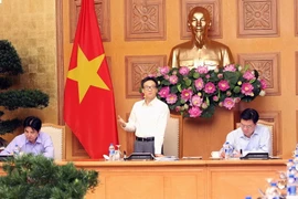 Phó Thủ tướng Vũ Đức Đam phát biểu tại buổi làm việc. (Ảnh: Nguyễn Dân/TTXVN)