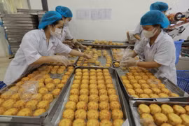 Phân loại, đóng gói sản phẩm bánh Trung Thu phục vụ thị trường tại nhà máy của Công ty. (Ảnh: Vũ Sinh/TTXVN)