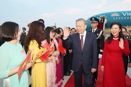Cán bộ, nhân viên Đại sứ quán và cộng đồng người Việt Nam đón Tổng Bí thư, Chủ tịch nước Tô Lâm và Phu nhân tại Sân bay Quốc tế Bắc Kinh. (Ảnh: Trí Dũng/TTXVN)