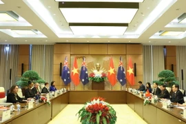 Chủ tịch Quốc hội Trần Thanh Mẫn và Chủ tịch Thượng viện Australia Bà Sue Lines hội đàm. (Ảnh: Thống Nhất/TTXVN)