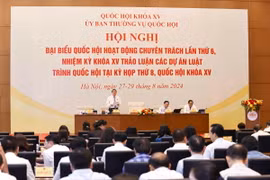 Phó Chủ tịch Quốc hội Nguyễn Đức Hải điều hành phiên họp. (Ảnh: Doãn Tấn/TTXVN)