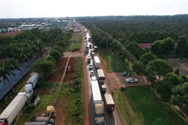Hàng dài xe bị ùn tắc cục bộ đoạn qua xã Ea Yông (Krông Pắc, Đắk Lắk) trong thời điểm thu hoạch sầu riêng. (Ảnh: TTXVN phát)
