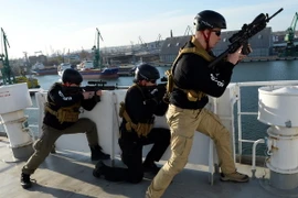 Binh sỹ Ba Lan trong một cuộc tập trận. (Nguồn: AFP/TTXVN)