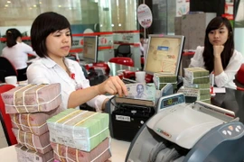 Ảnh chỉ có tính minh họa. (Ảnh: Trần Việt/TTXVN)