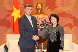 Chủ tịch Quốc hội Nguyễn Thị Kim Ngân tiếp Đại sứ Hugh Borrowman. (Ảnh: Trọng Đức/TTXVN)