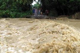 Ảnh chỉ có tính minh họa. (Ảnh: Chu Quốc Hùng/TTXVN)