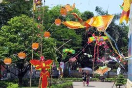 Triển lãm "Không gian Diều Festival Huế 2016." (Ảnh: Quốc Việt/Vietnam+)