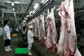 Dây chuyền giết mổ lợn tại Công ty VISSAN. (Ảnh: Thanh Vũ/TTXVN)