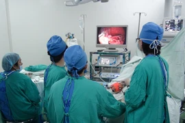 Ảnh chỉ có tính minh họa. (Ảnh: Thanh Thương/TTXVN)