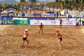 Ảnh chỉ có tính minh họa. (Ảnh: Văn Đức/TTXVN)