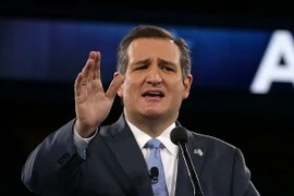 Thượng nghị sỹ bang Texas Ted Cruz. (Nguồn: AFP/TTXVN)
