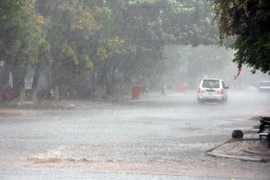 Ảnh chỉ có tính minh họa. (Ảnh: Trần Lê Lâm/TTXVN)