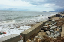 Ảnh chỉ có tính minh họa. (Ảnh: Đức Ánh/TTXVN)