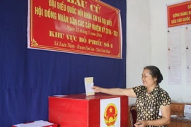 Cử tri Tổ bầu cử số 2 thuộc thôn Dũng Thúy, xã Xuân Thiện, huyện Kim Sơn, tỉnh Ninh Bình bỏ phiếu bầu cử. (Ảnh: Thùy Dung/TTXVN)