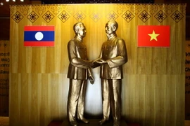 (Ảnh minh họa: Hữu Quyết/TTXVN)