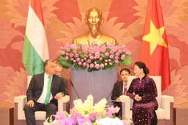 Chủ tịch Quốc hội Nguyễn Thị Kim Ngân hội kiến Thủ tướng Hungary Orbán Viktor đang có chuyến thăm chính thức Việt Nam. (Ảnh: Trọng Đức/TTXVN)