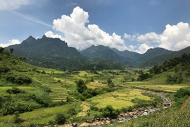 Những thửa ruộng bậc thang ở Bát Xát. (Ảnh: Hồng Ninh/TTXVN)