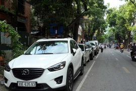 (Ảnh minh họa: Huy Hùng/TTXVN)