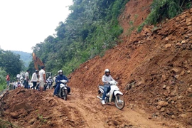 (Ảnh minh họa: Đức Hiếu/TTXVN)