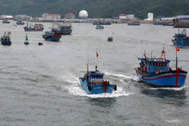 Các phương tiện tàu thuyền di chuyển về nơi neo đậu an toàn tại Âu thuyền Thọ Quang (Đà Nẵng). (Ảnh: Trần Lê Lâm/TTXVN)