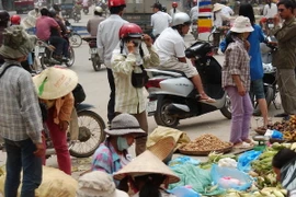 (Ảnh minh họa: Bùi Tường/TTXVN)