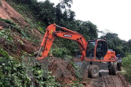 (Ảnh minh họa: Văn Dũng/TTXVN)