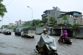 (Ảnh: Minh Thu/TTXVN)