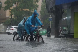 (Ảnh minh họa: Trịnh Duy Hưng/TTXVN)