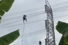 Thi công đường dây 220kV Nhiệt điện Hải Dương-Trạm 500kV Phố Nối. (Ảnh: TTXVN phát)