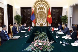 Tham khảo chính trị cấp Thứ trưởng Ngoại giao Việt Nam-Mông Cổ lần thứ 10. (Ảnh: An Đăng/TTXVN)