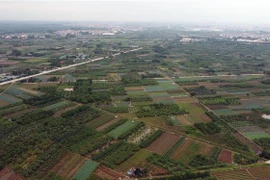 (Ảnh minh họa: Huy Hùng/TTXVN)