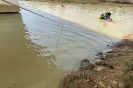 (Ảnh minh họa: TTXVN phát.)